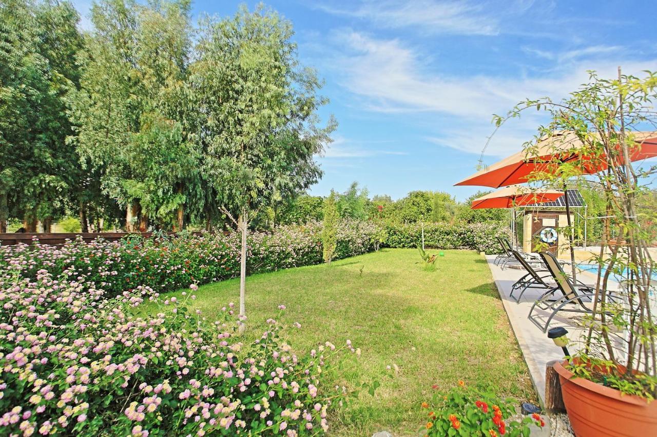 Villa Georgios Rafaela Polis Ngoại thất bức ảnh